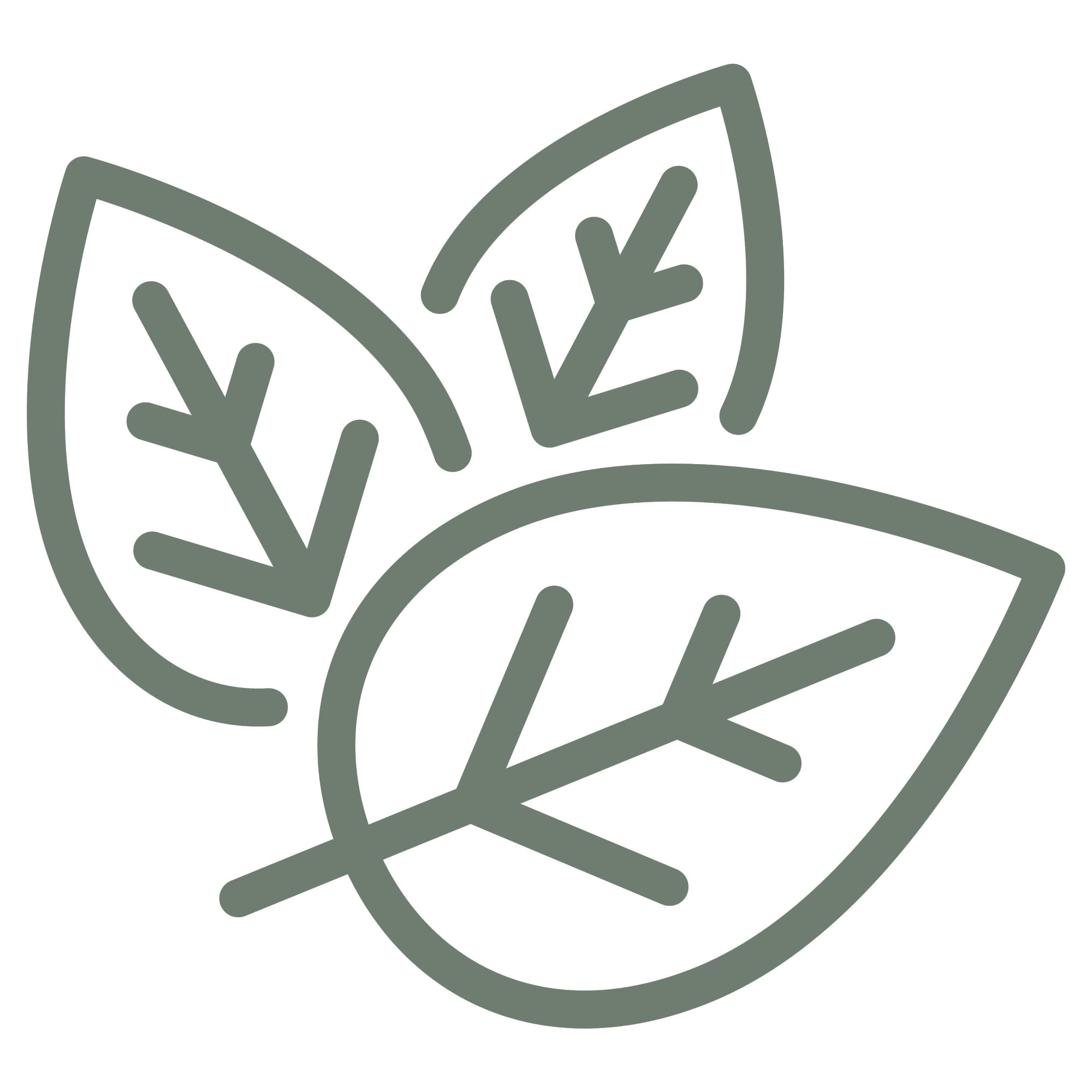 přírodní ingredience